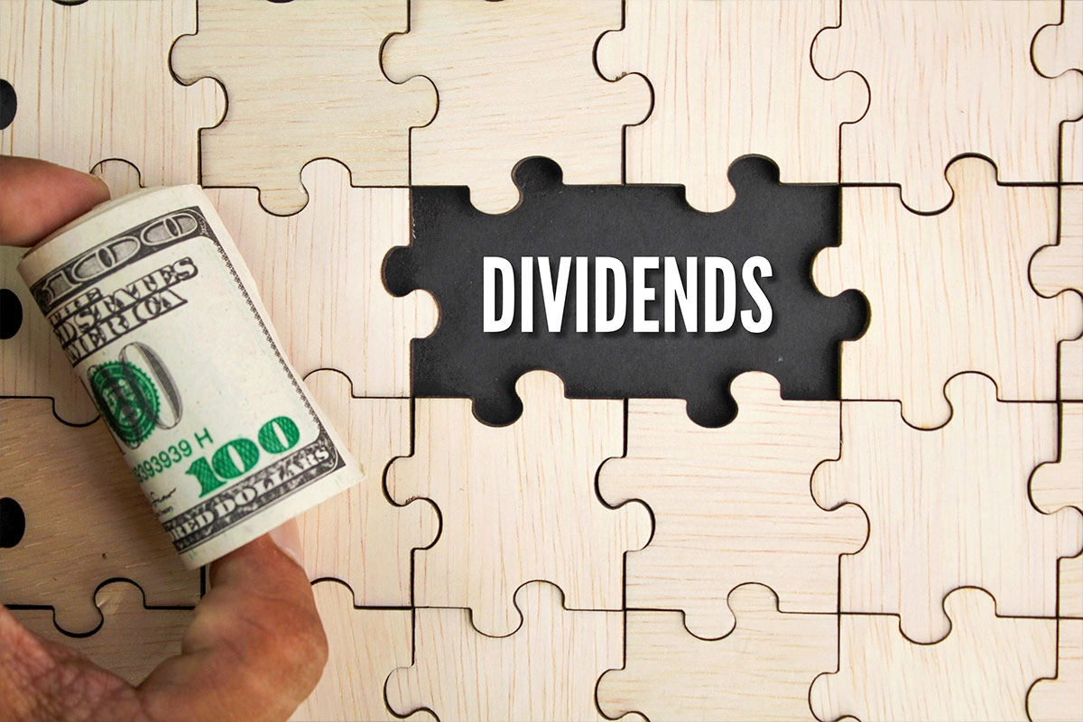 Salary and Dividend Payments